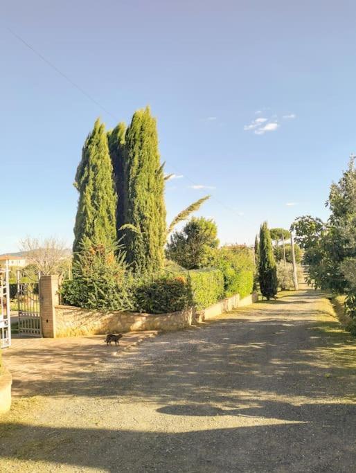 Villetta Rio, Large Private Garden Cecina  Dış mekan fotoğraf